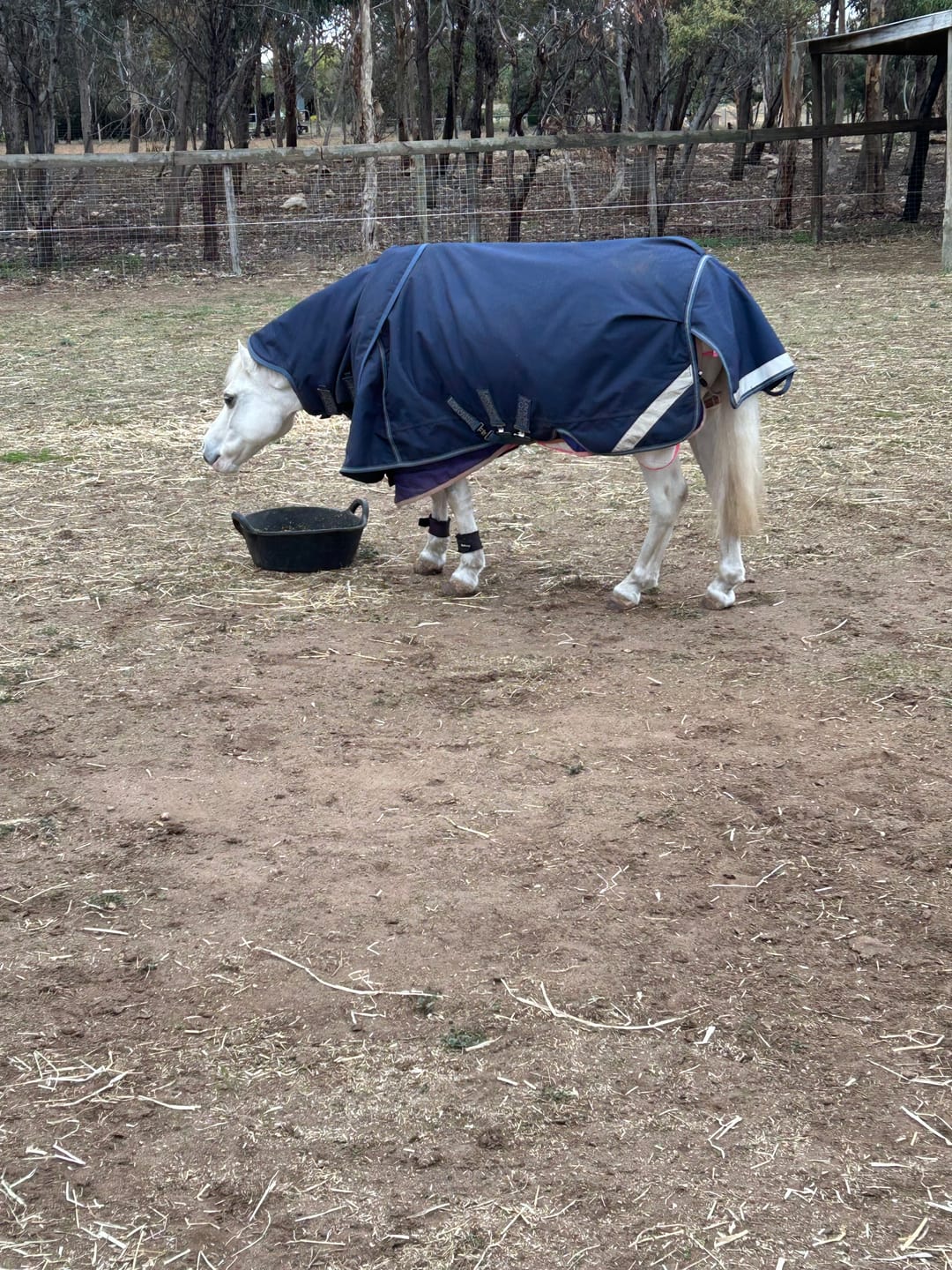 Customer photo review of LE Boxter Turnout Ripstop 200g