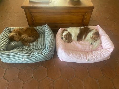 Customer photo review of Divanetto Vichy Verde Scuro