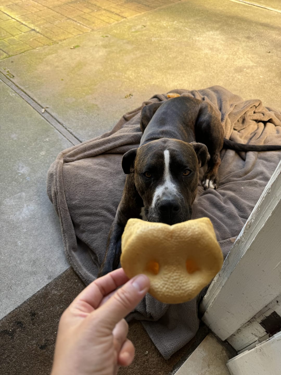 Customer photo review of Smoked Pig Snouts