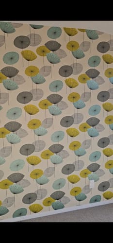 Customer photo review of Dandelion Clocks Wallpaper - 6 x Colours
