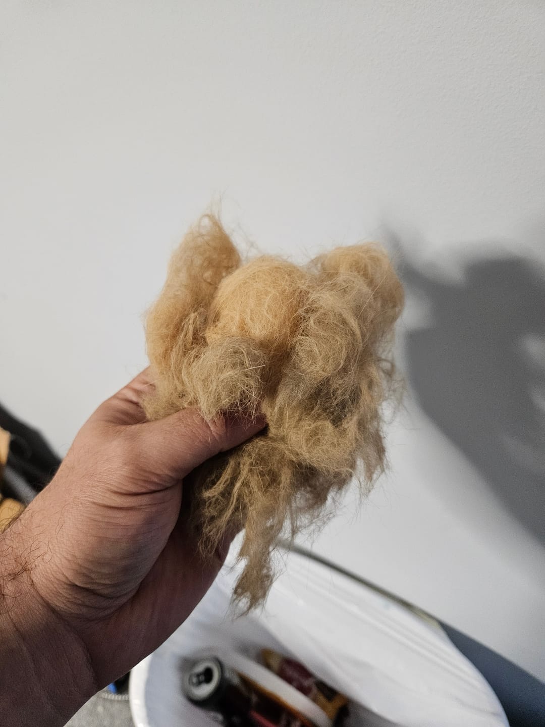 Customer photo review of Dematting Rake Attachment for Grooming Vacuum