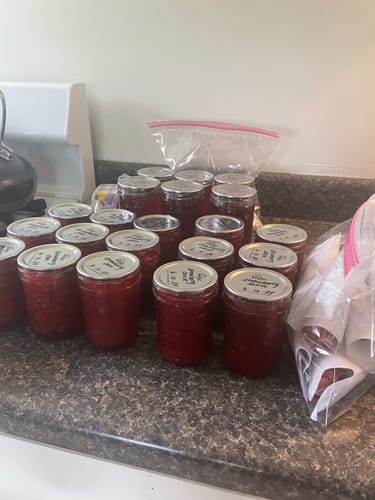 Customer photo review of Regular, (10) Dozen Lids, (2) Dozen Rings