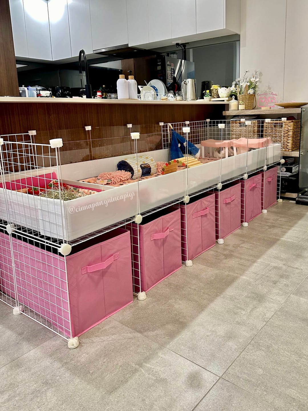 Customer photo review of 2 x 6 Ozzy C&C Cage Stand