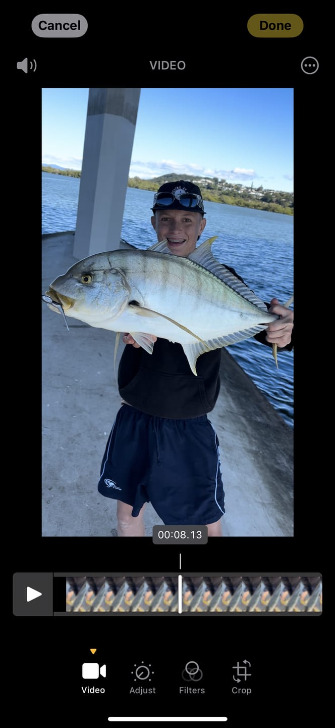 Customer photo review of DEATH TAIL