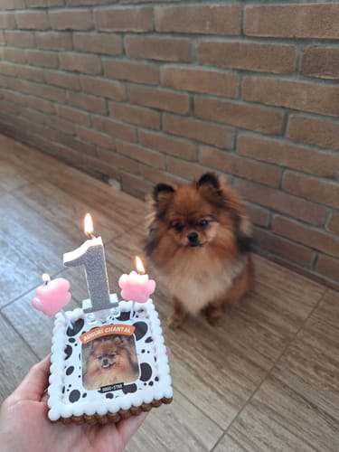 Customer photo review of Fotogenica 3 Tortina Per Cani CON FOTO e MESSAGGIO