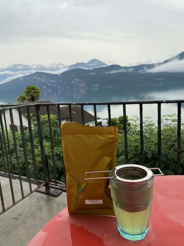 Customer photo review of Uji Sencha Chanoka
