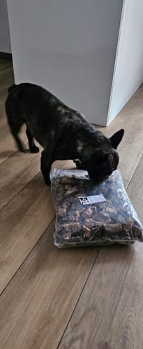 Customer photo review of Aussie Beef Puffs (High value treats)