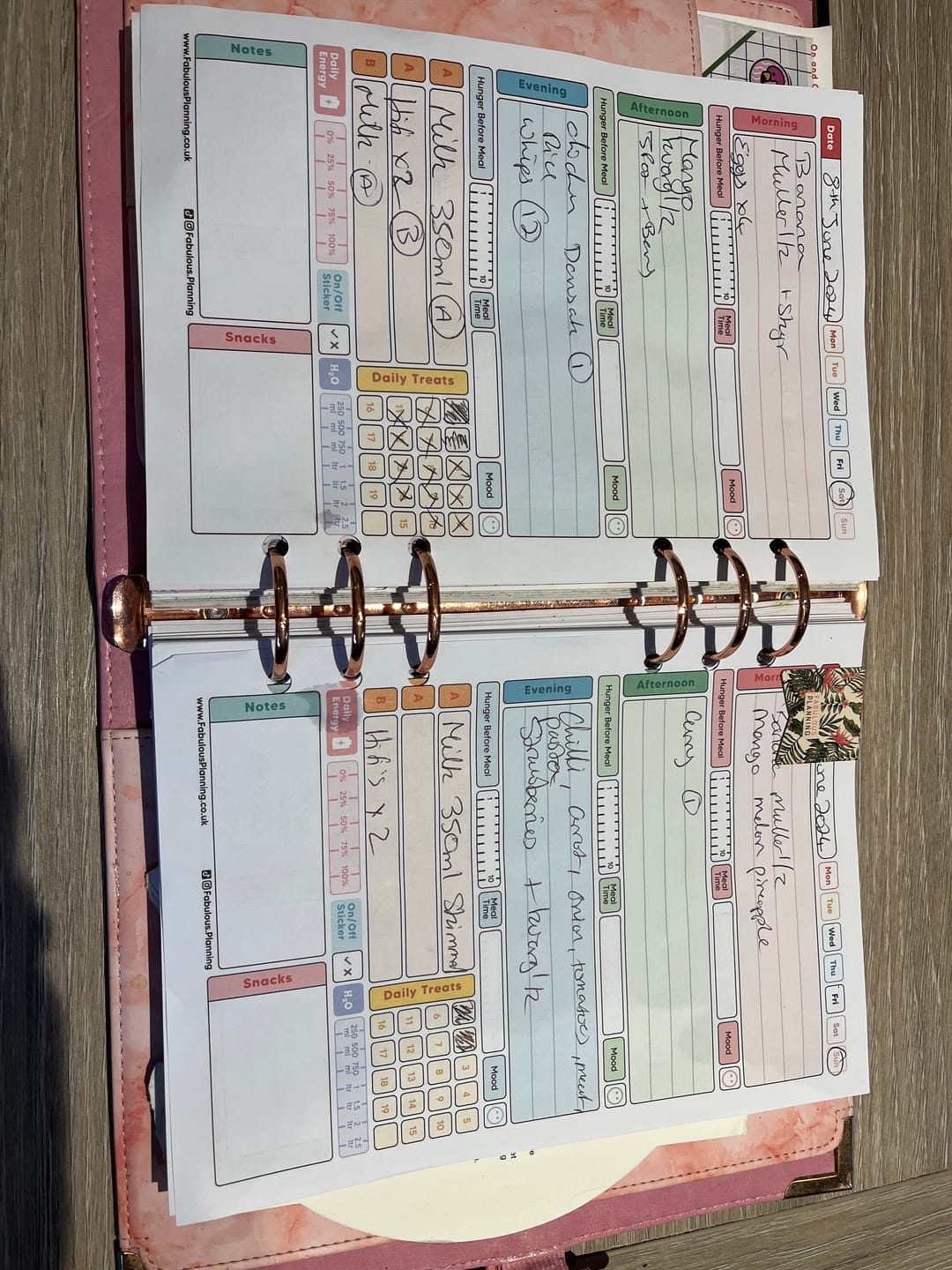 Customer photo review of Slimming World - Spacious - Organiser Refill