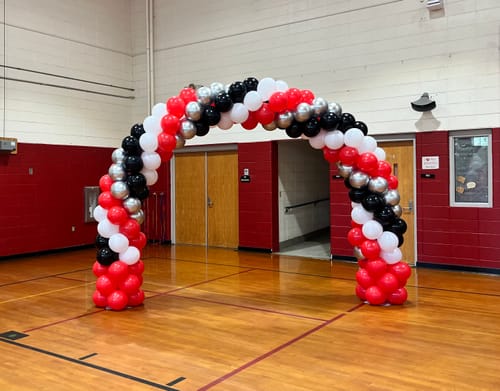 Customer photo review of 10x8 Ft Aluminum Balloon Arch Frame Wedding Arch Stand