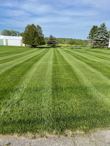 Customer photo review of N-Ext Sea-K