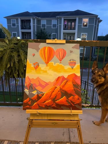 Customer photo review of Skyward Balloons - Paint by Numbers