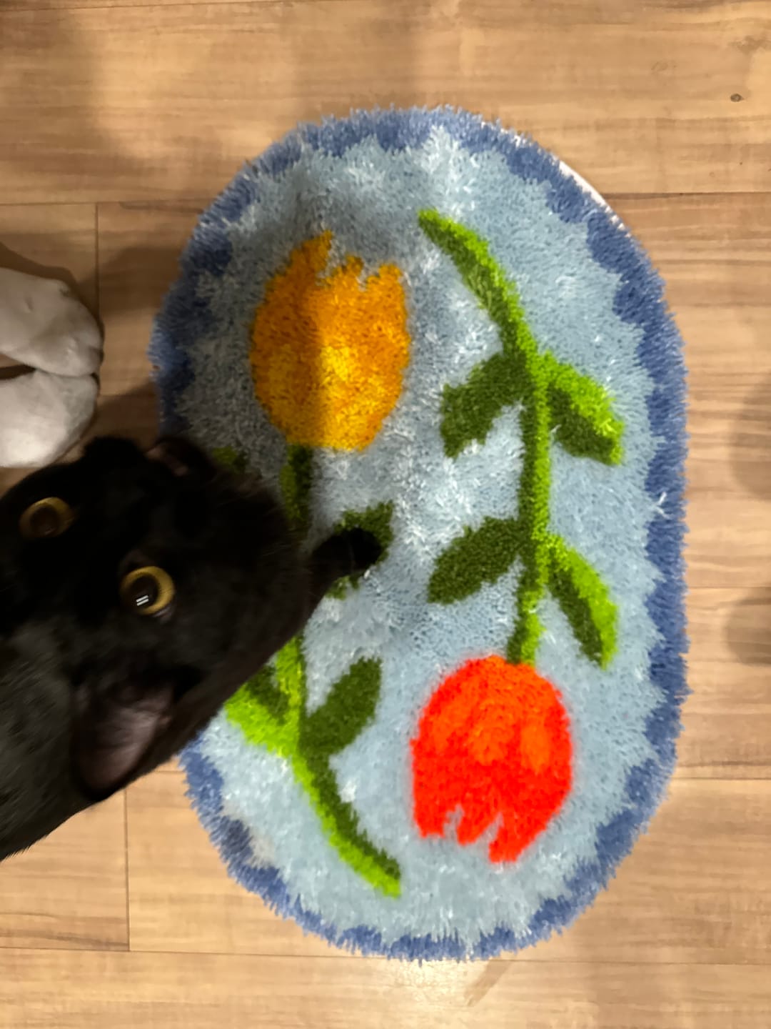 Customer photo review of TULIP FEVER - ALMALFI | XL Rug Making Kit