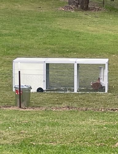 Customer photo review of Galvanised Mesh Floor for Chicken Coop