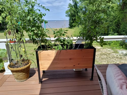 Customer photo review of 18" x 48" Raised Garden Bed