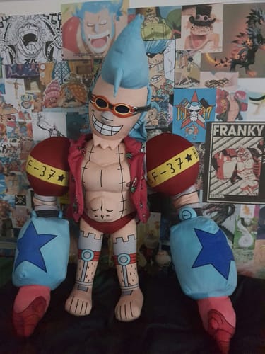 Customer photo review of Turn Drawings into Plushies