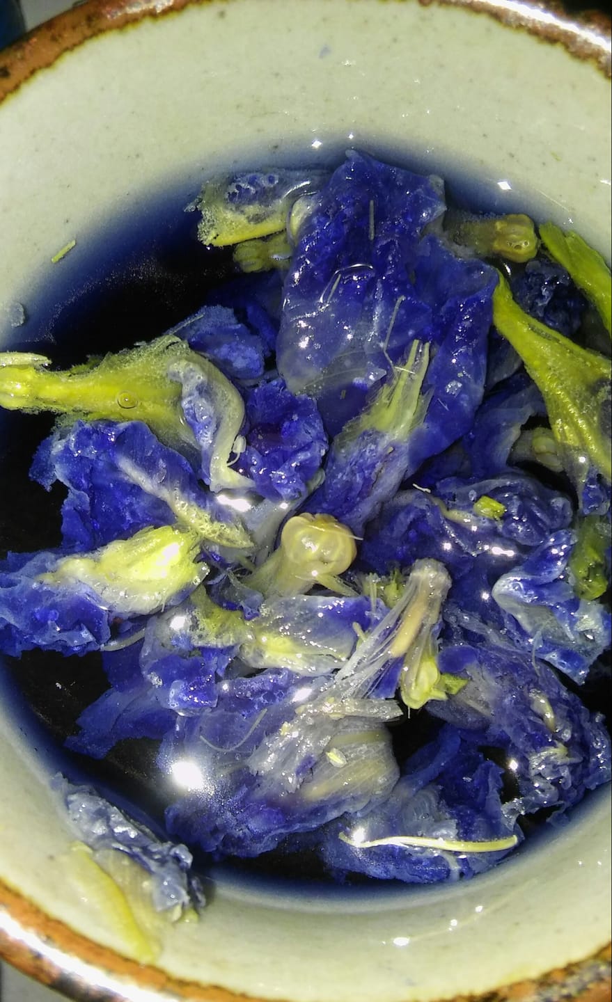 Customer photo review of Butterfly Pea Flower