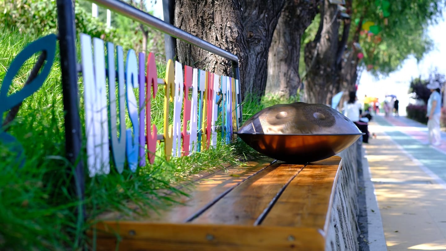 Customer photo review of Cosmos Handpan - Poseidon 9/10/12 Notes in D Minor - Tambourine Gift Set