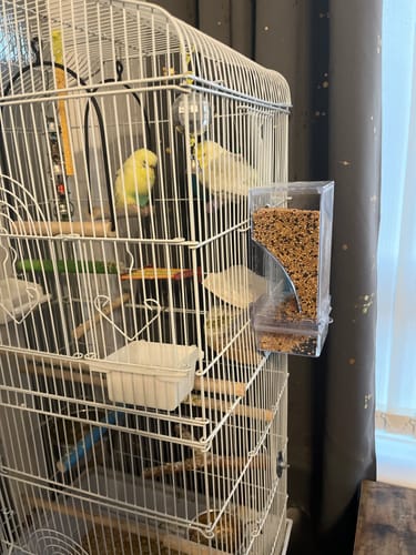 Customer photo review of Automatic No-Spill Transparent Bird Feeder