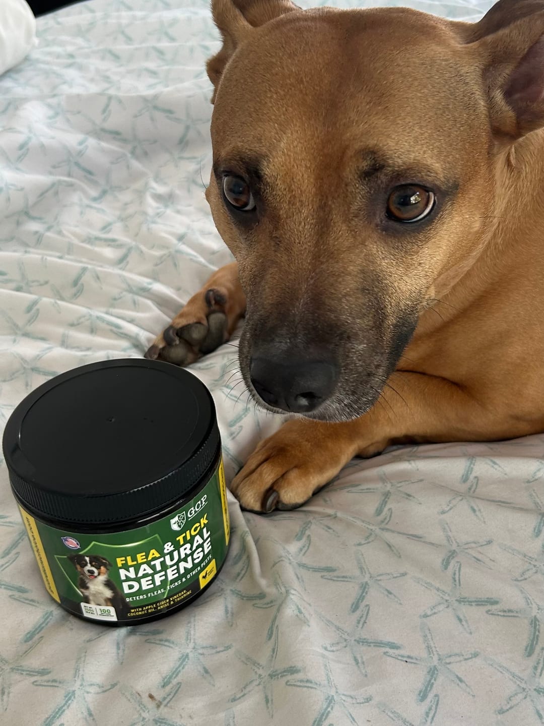 Customer photo review of GCP Flea & Tick Natural Defense for Dogs - 100 Soft Chews