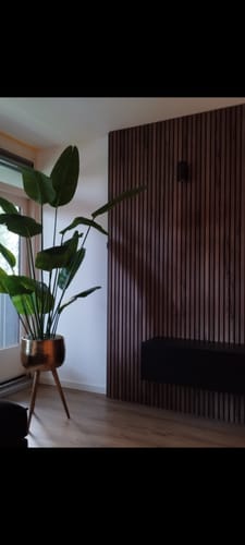 Customer photo review of Kunst Bananenplant 180cm