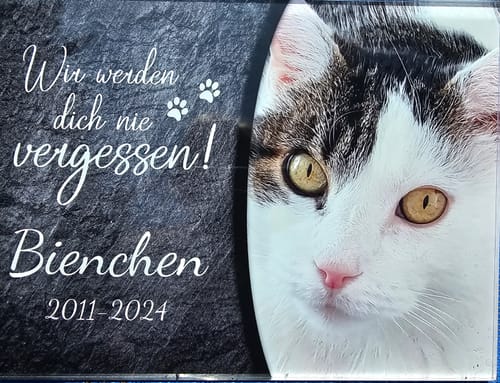 Customer photo review of Katzen Gedenktafel mit Foto & Spruch (UV- & Wetterfest)
