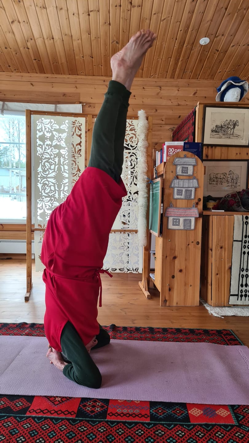 Customer photo review of Adrenaline Dominance eBook