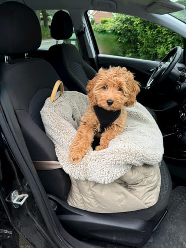 Customer photo review of Car seat for dogs beige