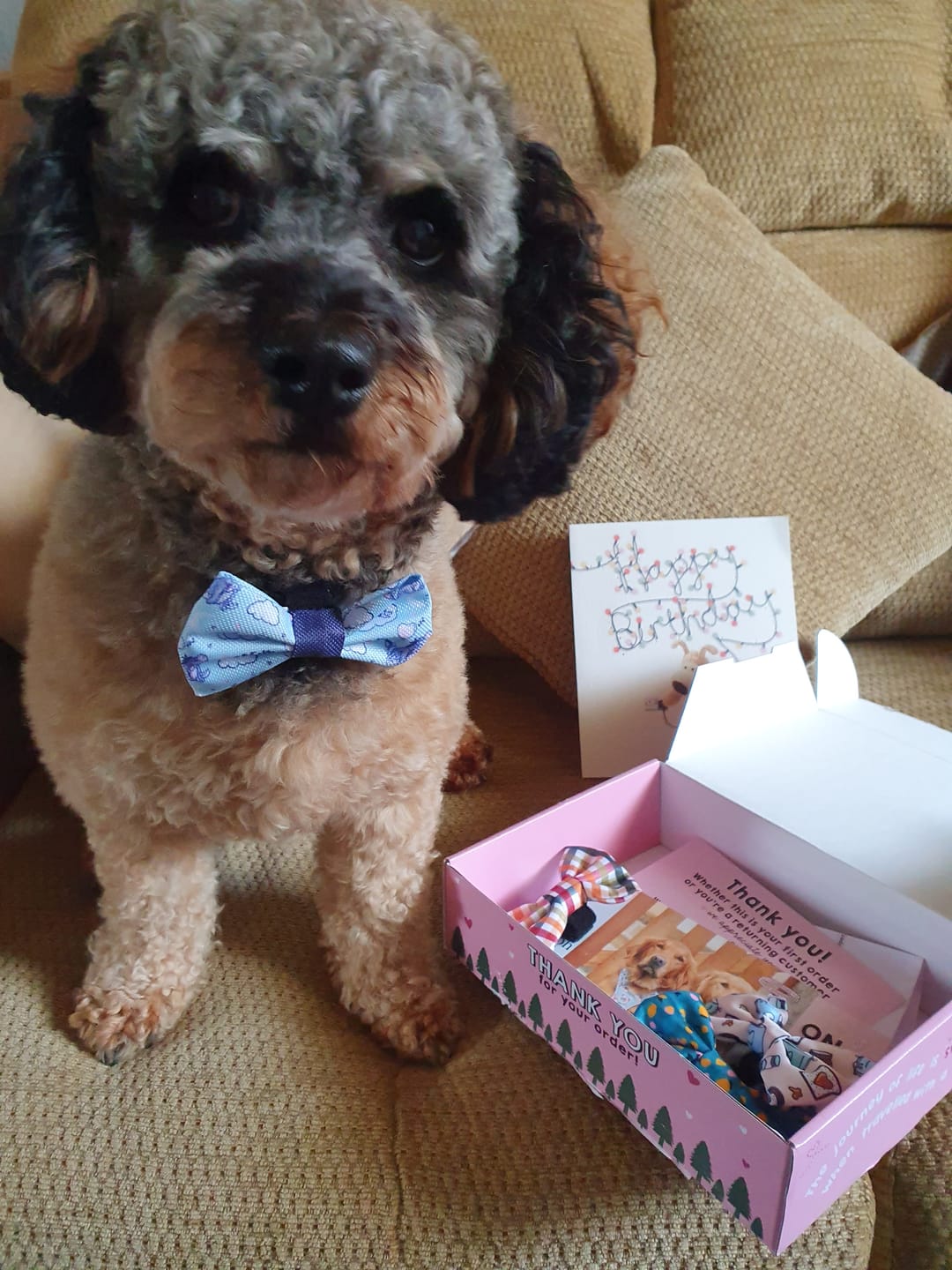 Customer photo review of Disney© Bow Tie - Eeyore