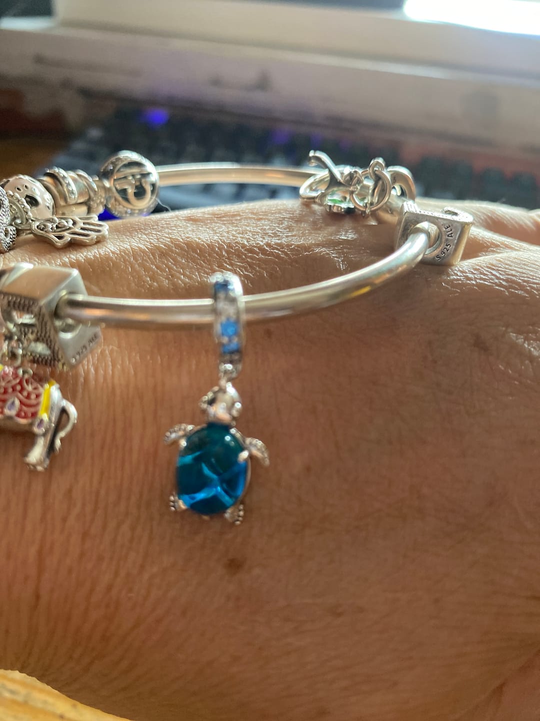 Customer photo review of Charm Tortuga