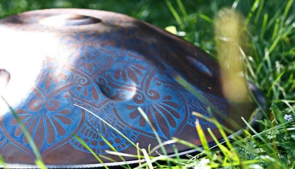Customer photo review of Cosmos Handpan - Gerbera, 9/10/12 Notes in D Minor - Tambourine Gift Set