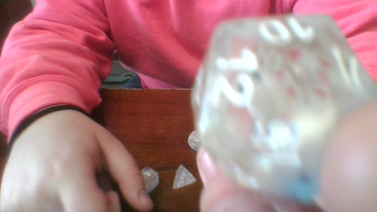 Customer photo review of Mystery Dice Set Subscription