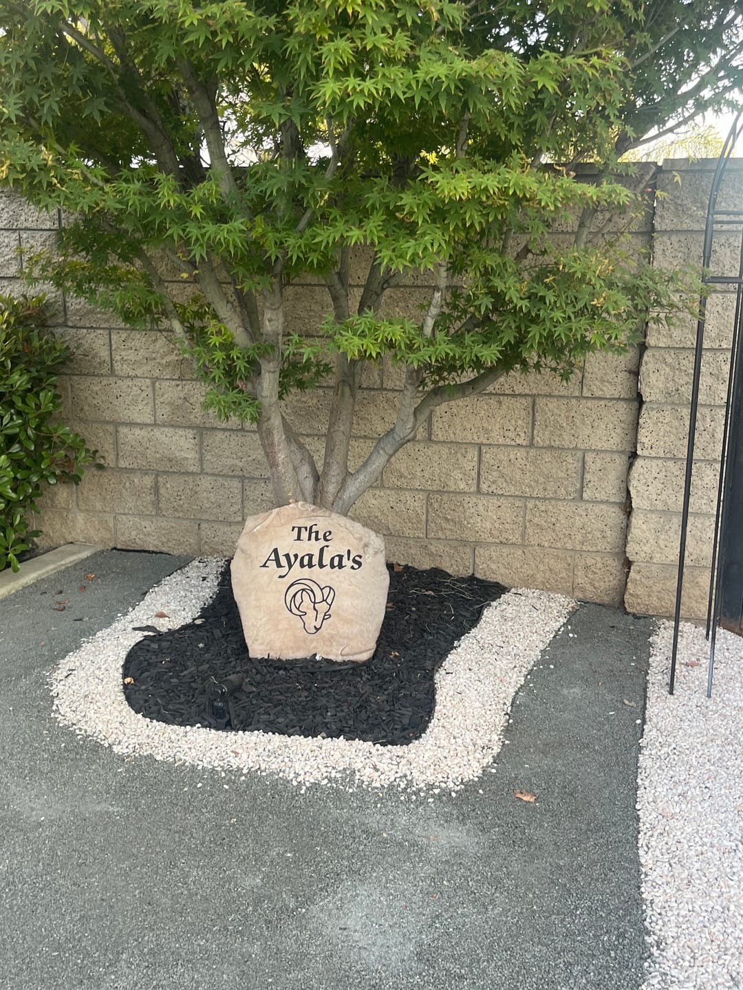 Customer photo review of Los Angeles Rams Design-A-Stone Landscape Art Family Name