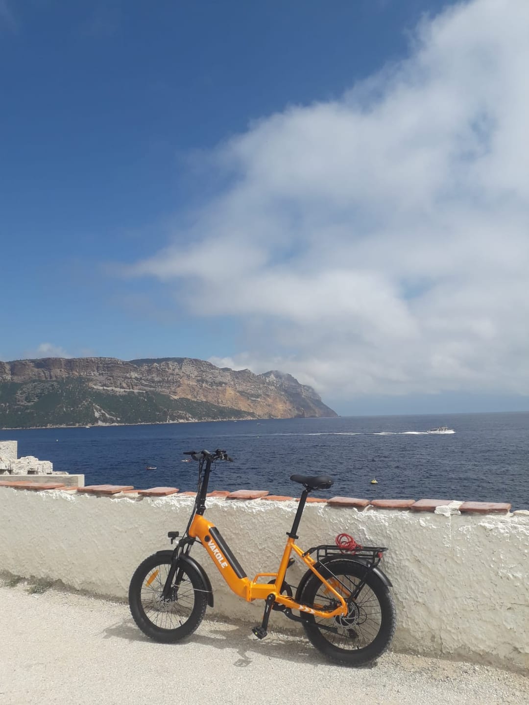 Customer photo review of Vakole VT4 250W 20" Foldable Electric Bike 13Ah Step-through E-bike