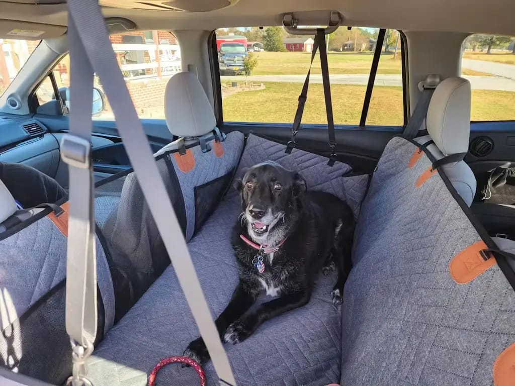 Customer photo review of Car Seat Cover with Hard Bottom