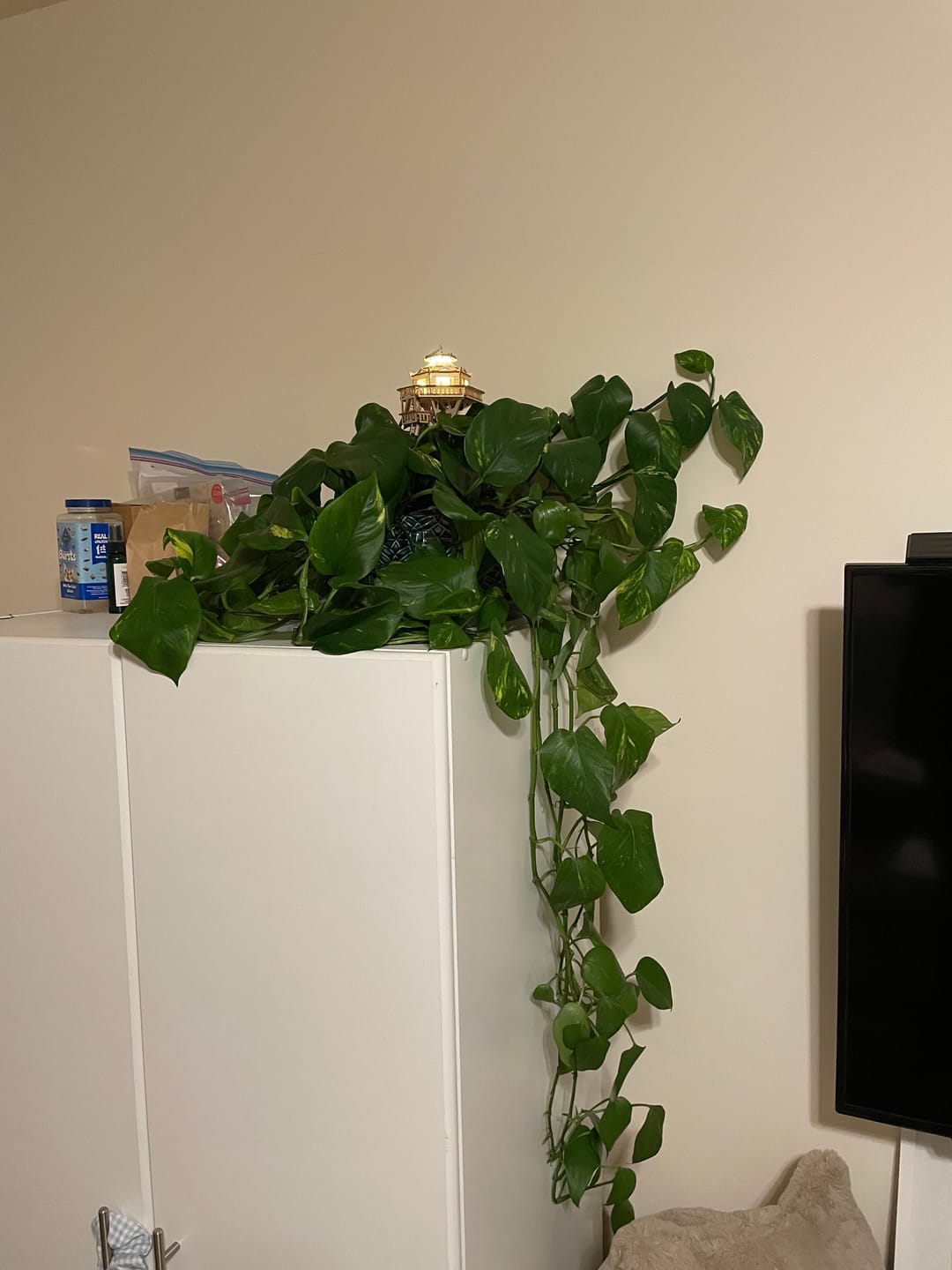 Customer photo review of Woodland Outpost