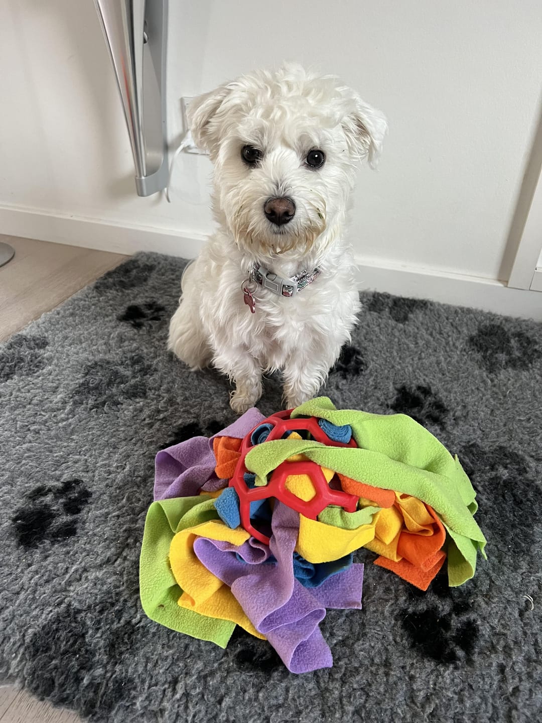 Customer photo review of SnufFiesta: Den Ultimative Snusebold