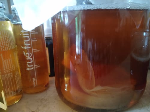 Customer photo review of BIO Kombucha-Starterset: Vollausstattung mit Premium Scoby