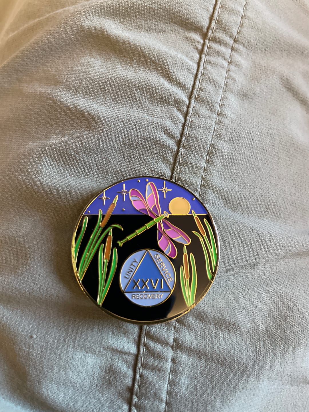 Customer photo review of 1 to 60 Year Dragonfly 9th Step Specialty AA Recovery Medallion - Tri-Plated Chip/Coin