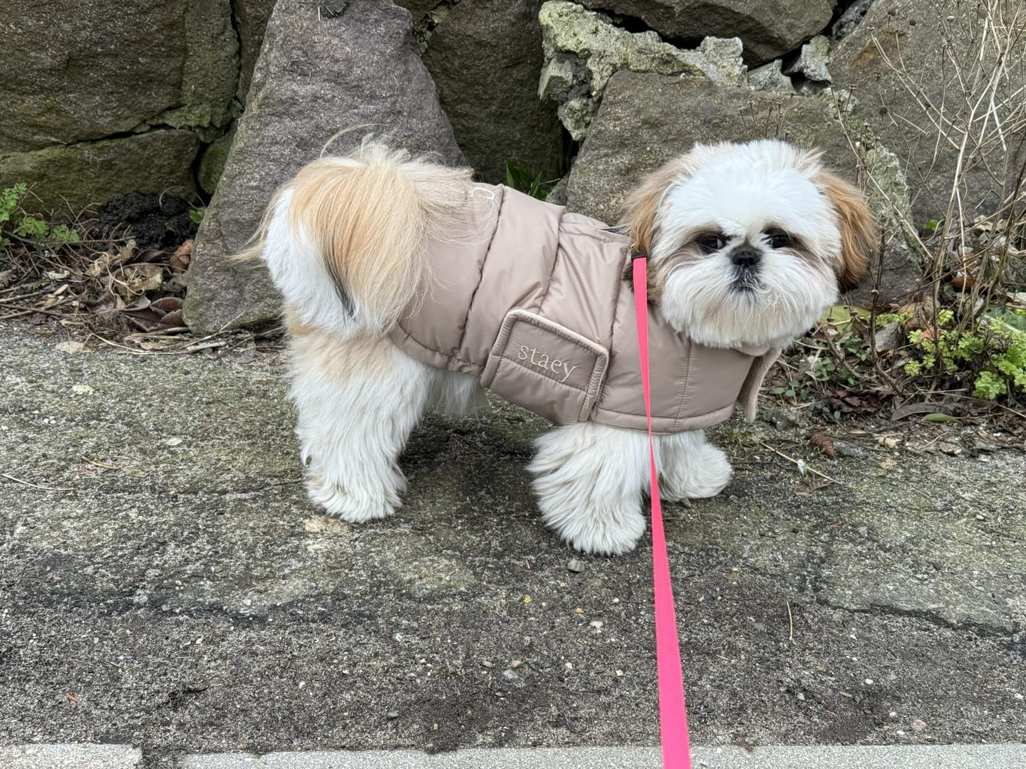 Customer photo review of Staey - Nora Hundefrakke, Natur