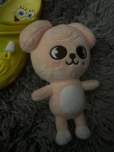Customer photo review of Official Stray Kids SKZOO Plush