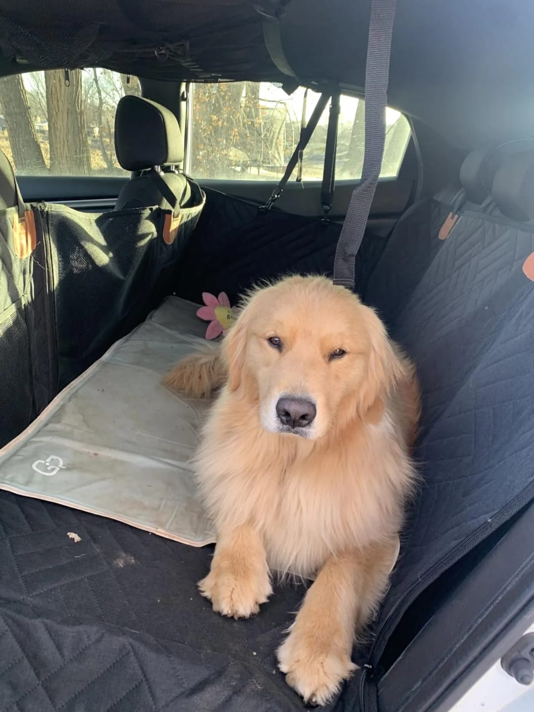Customer photo review of Car Seat Cover with Hard Bottom