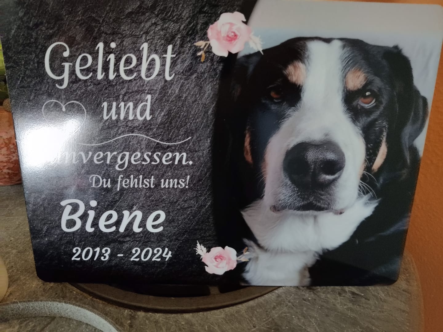 Customer photo review of Hunde Gedenktafel mit Foto & Spruch (UV- & Wetterfest)