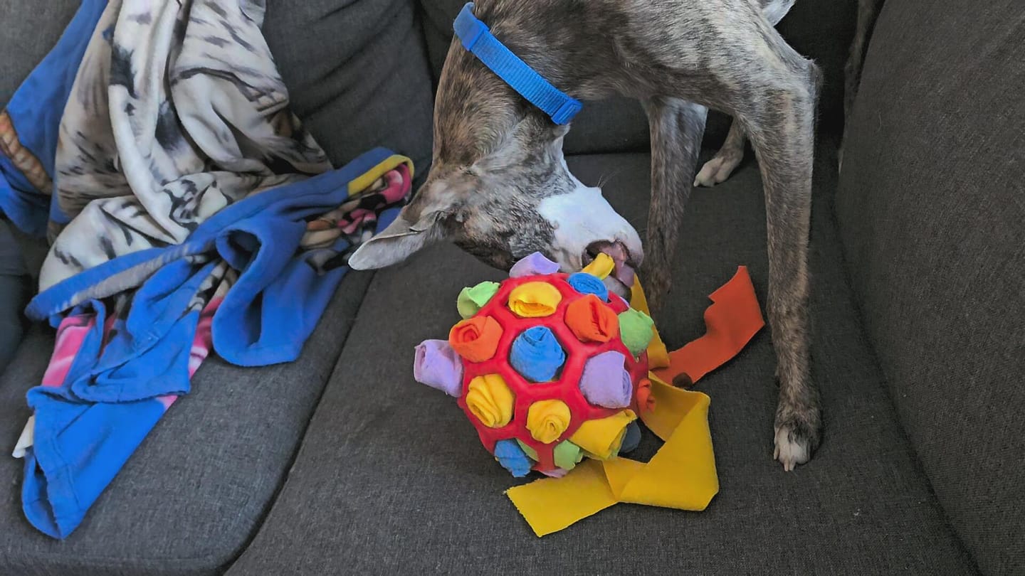 Customer photo review of SnufFiesta: Den Ultimative Snusebold