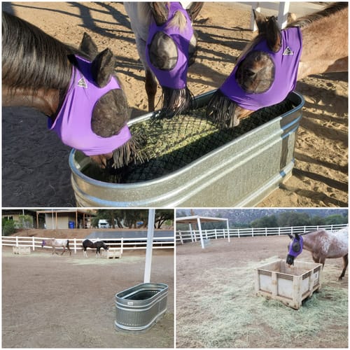 Customer photo review of Hay Chix® 3-Strand Bale Net (West Coast Net)