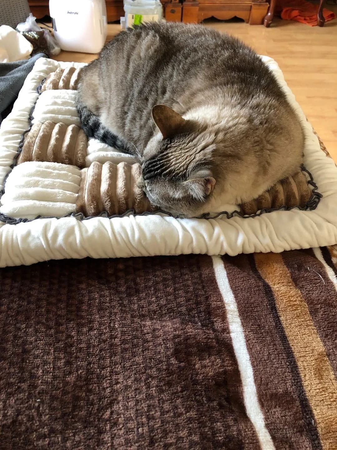Customer photo review of Sofa Cover