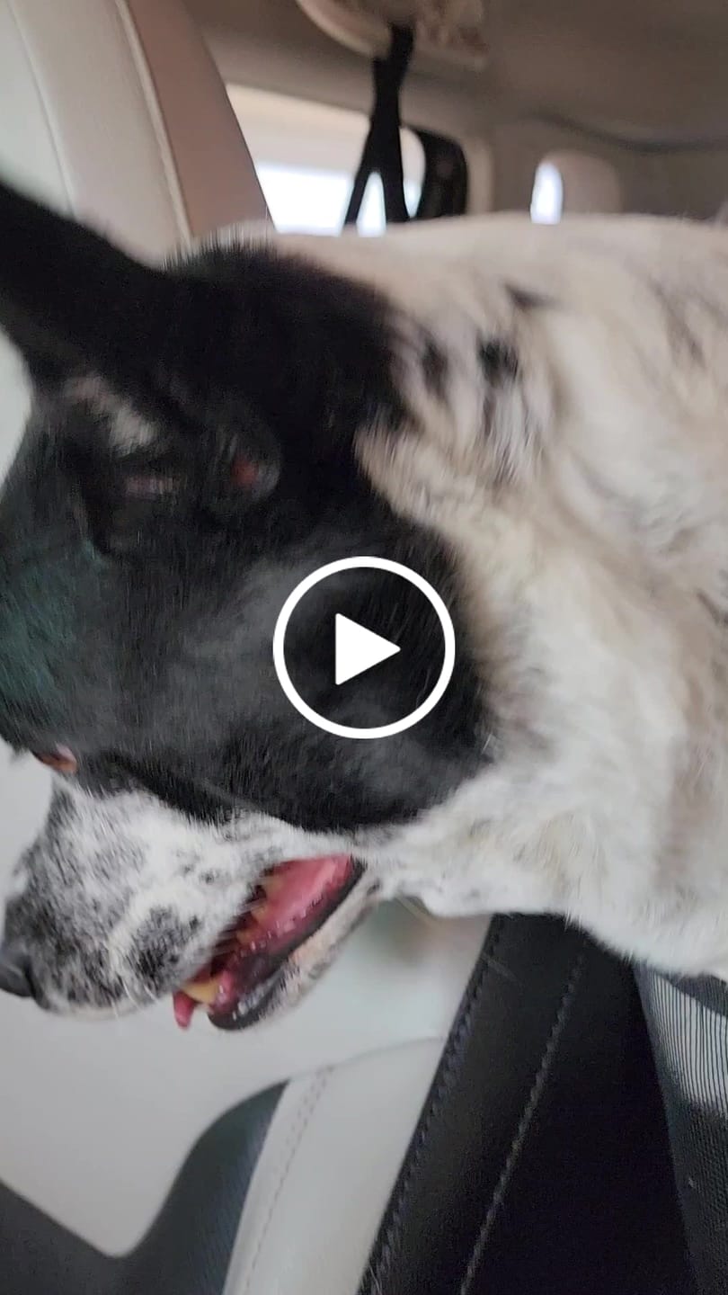 Customer video review of CozyRider™
