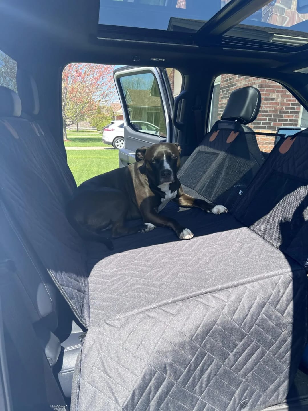 Customer photo review of Car Seat Cover with Hard Bottom
