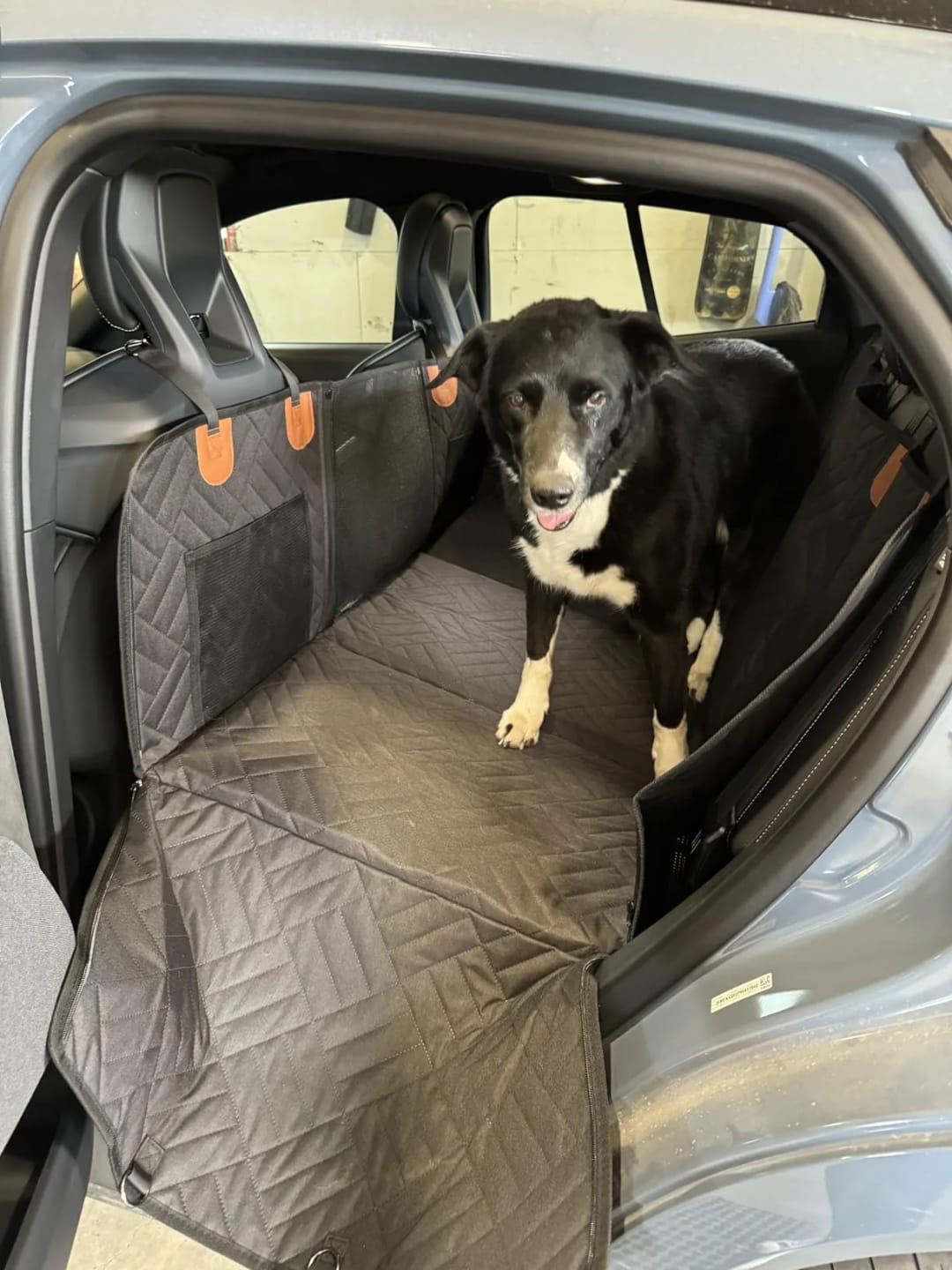 Customer photo review of Car Seat Cover with Hard Bottom