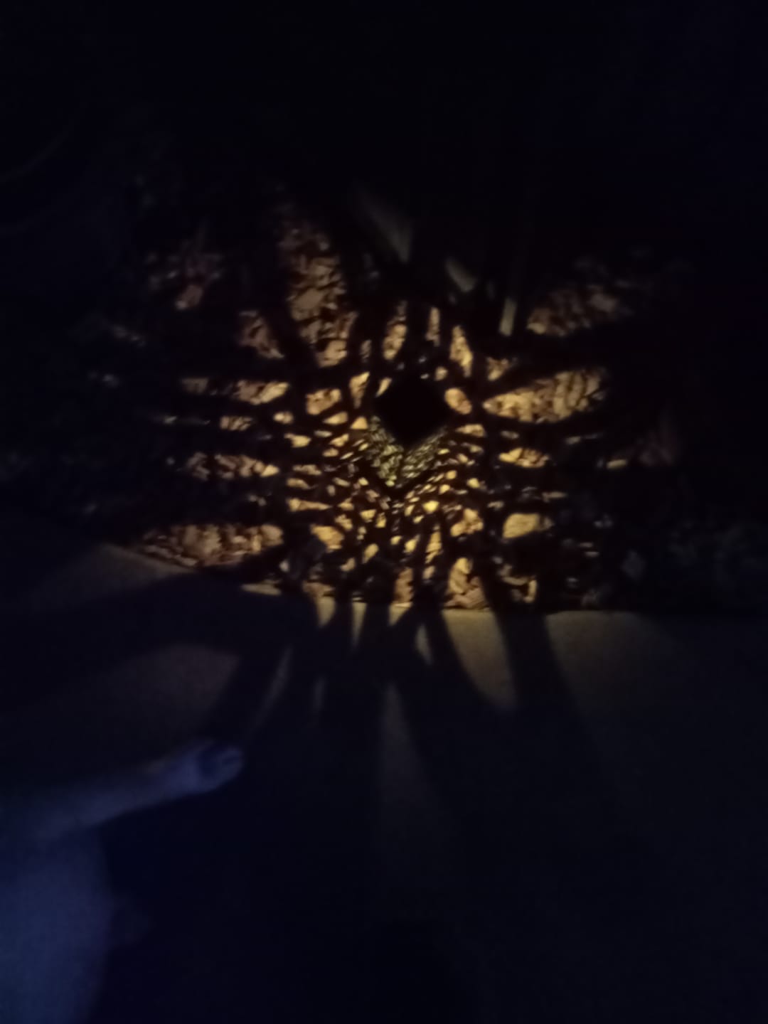 Customer photo review of SolaGarden™ Pattern Light Pack