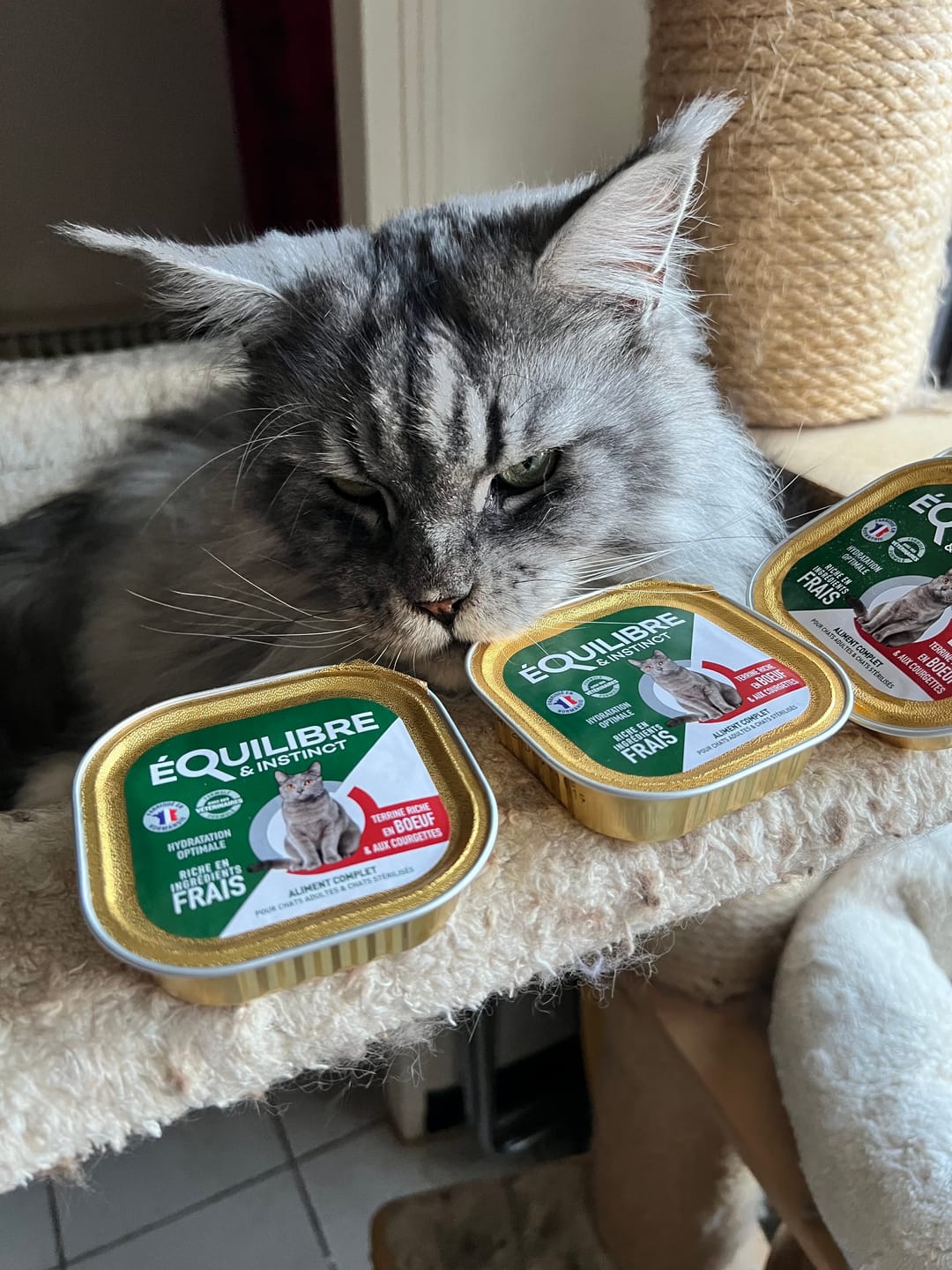 Customer photo review of Pâtées riches en bœuf & aux courgettes (chat stérilisé et chat adulte)
